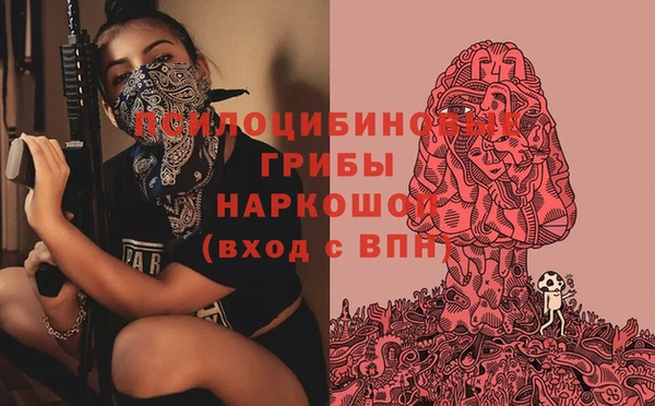 шишки Алексеевка