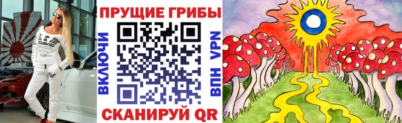 omg как войти  Апатиты  Псилоцибиновые грибы прущие грибы 